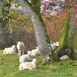 Sheepfold Camping