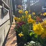 Sheepfold * Sedbergh